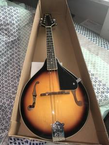 Mandolin (finksburg)