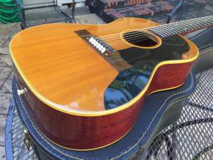 Vintage Guitars & Amps (Valdosta)