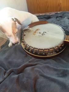 Hohner Resonator Banjo (Reno)