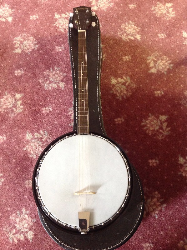 4-String Harmony Banjo