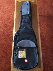 Road Runner Boulevard Bass Gig Bag (State College)