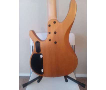 Washburn BB4 Bantam bass