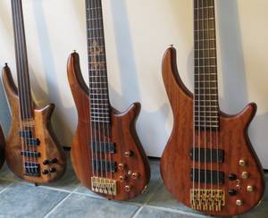 DJG Basses (Oro Valley)