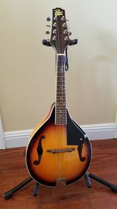 Rogue A Style Mandolin *** (BRANDON)