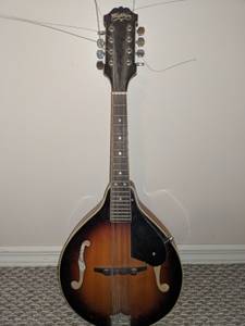 Washburn Mandolin