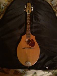 seagull S8 mandolin (purlear)