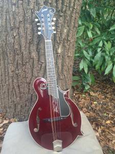 Mandolin - Collings MF Deluxe - Merlot (Greater Atlanta)