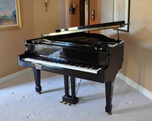 Baby Grand Piano -- Excellent Condition -- Price Reduced (Eden Prairie)