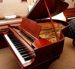 Steinway Grand Piano Model M (Newton)