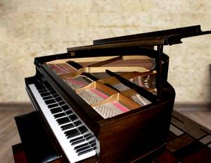 Baby Grand Piano-105 Years Old (Appleton)
