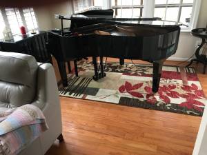 Baby Gran Player Piano (GAINESVILLE)