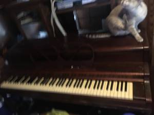 1951 Lester upright piano Betsy Ross spinet model (Paragould)