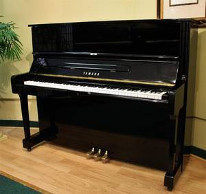 Excellent Sounding Yamaha U3 Upright Piano