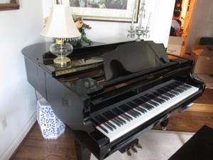 Piano gloss ebony Baby grand / bench (Richmond Va)