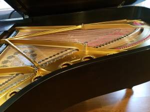 Steinway B Grand Piano (Lake Balboa)