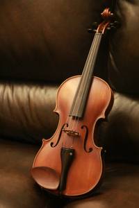 Soundage 4/4 violin (Ames)
