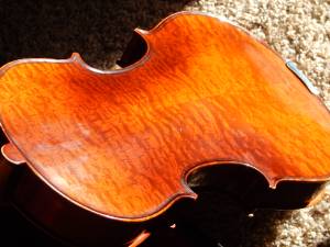 full-size violin; burled maple back (Casper)