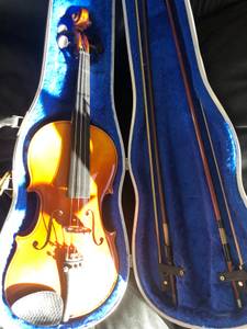 Violin