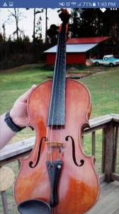 Antique Viola (Kannapolis)