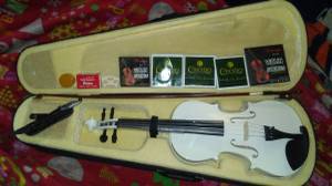 Violin 4/4 with case and extras (Farmington)