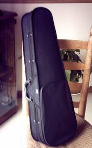 Violin Case (Mooresville/Plainfield)