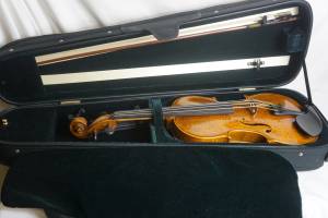 Pietro Moretti Violin 2015 With case (arleta)