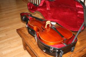 Allesandro Cello (lexington)
