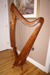Salvi McFalls Lever Harp