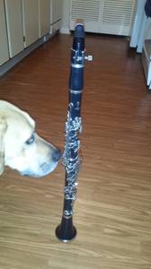 Yamaha 250 clarinet (Carmel/Westfield)