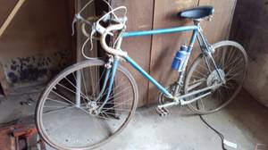 Blue And White Road Bike (Doylestown)