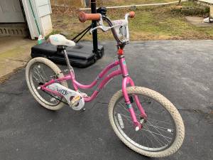 Girls Trek Bike (Rising Sun, MD)