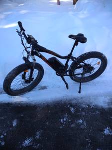 Mountain Bike (Leavenworth, WA)