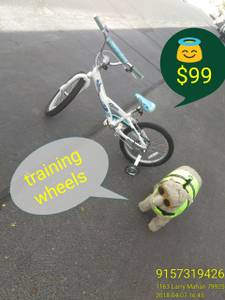 Trek Bike Training Wheels (East)