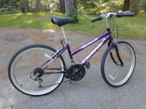 Purple Mountain Bike (Wayland Ma)