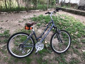 Northrock Bicycle (Memphis)