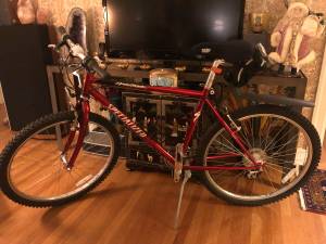 Specialized MTN/City Bike (19