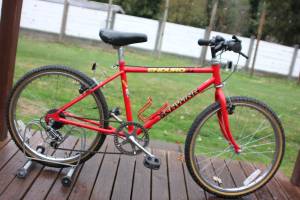 Vintage Schwinn Enduro 22 Jr. 6spd Bike RARE 22