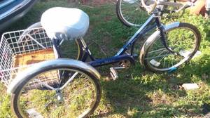 Regal easy roll 3 wheel bike (Cushing)