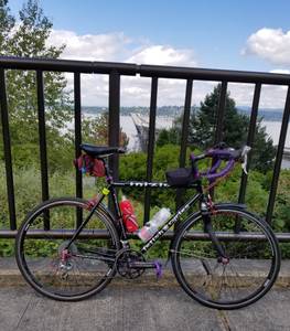56cm Fetish Inizio Road Bike (ISSAQUAH)