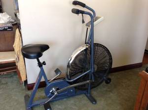 Schwinn Airdyne Stationary Bike (Kenosha)