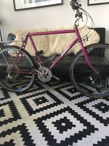 1980's Timberlin, Mountain Bike, all or part (Lakeshore)