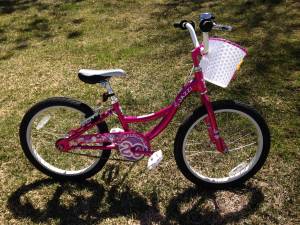 Raleigh kid's kids bike, like new (Boulder)