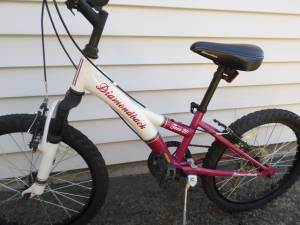 Diamond Back Tess Kids Bike (Beaverton)