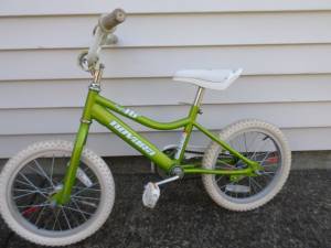 Novara Firefly 16 kids bike (Beaverton)