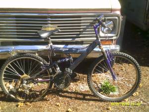 21 speed mountain bike (Carson)