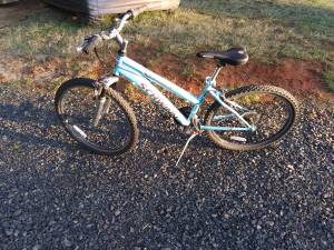 Schwinn Mountain Bike (Banks)