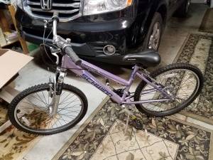 Schwinn Girl's Mountain Bike Traverse (South Charlotte)