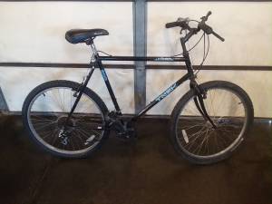 TREK 800 Mountain Bike (Bemidji)