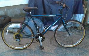 GIANT Mountain bike (Norwood)