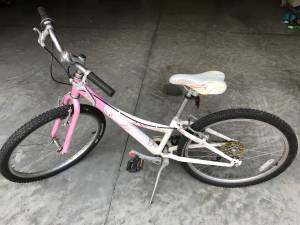 Pink Trek MT200 Mountain bike (raleigh)